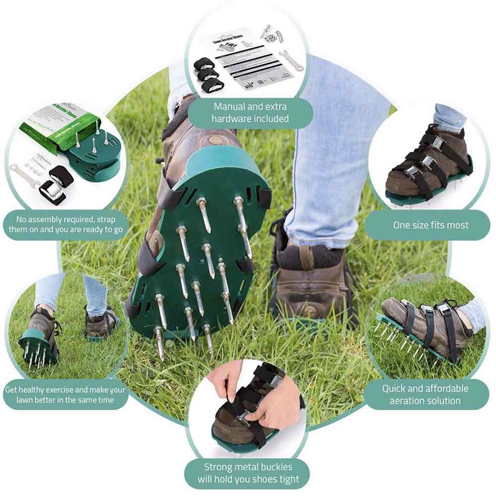 aerator shoes near me