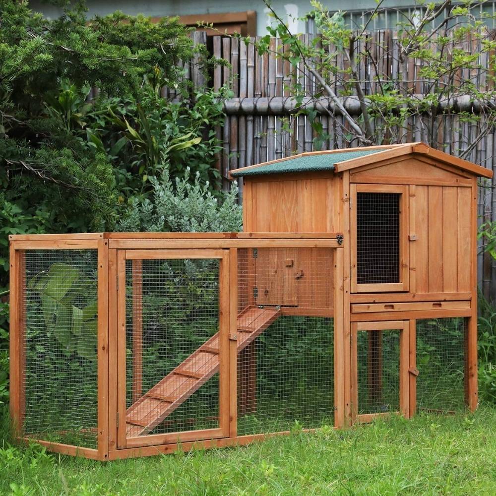Chicken Cage: image 1