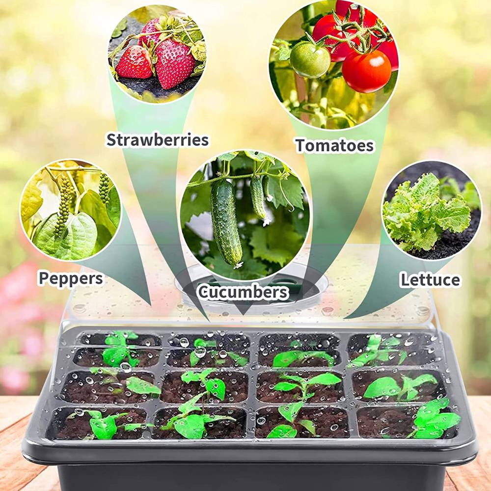 Seed Starter Tray: image 2