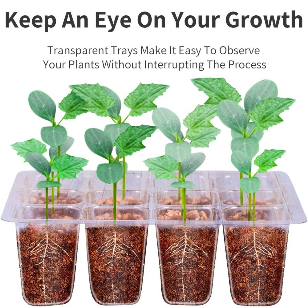 Seed Starter Tray: image 4