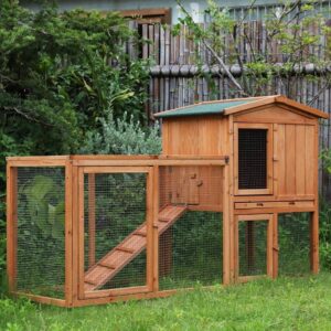 buy chicken cage house singapore