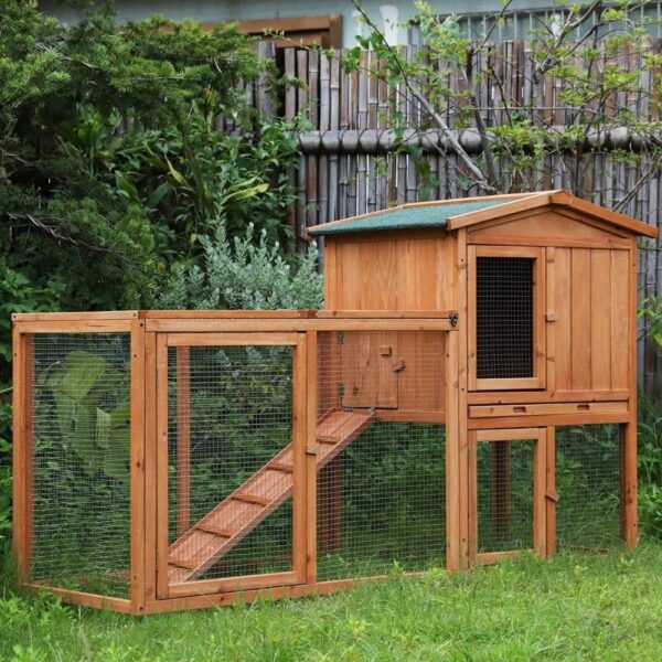 buy chicken cage house singapore